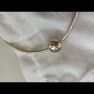 Pandora Traditional Charm Bangle